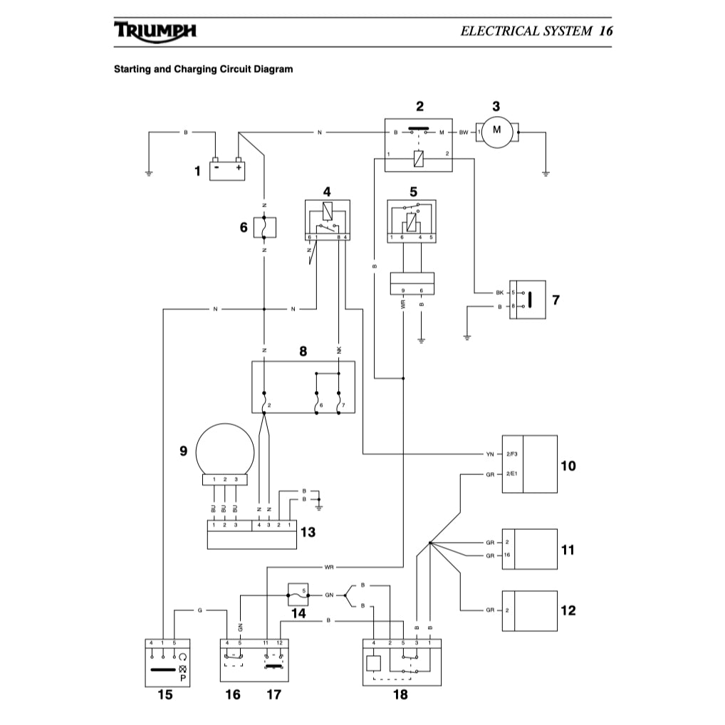 TRIUMPH TIGER 955i (2001-2006) SERVICE WORKSHOP MANUAL + OWNER MANUAL