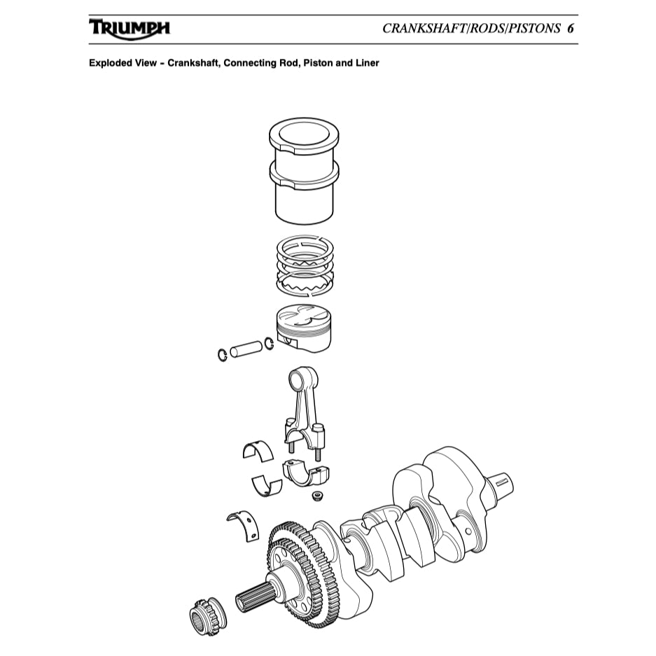 TRIUMPH TIGER 955i (2001-2006) SERVICE WORKSHOP MANUAL + OWNER MANUAL