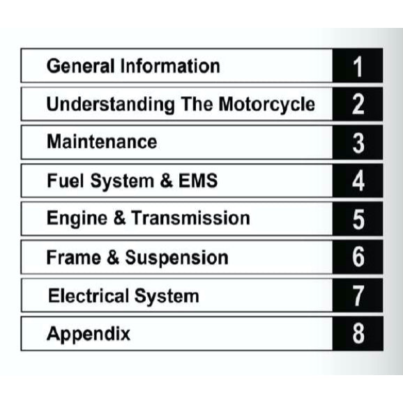 DOMINAR 250 DM250 (2023+) SERVICE WORKSHOP MANUAL + PARTS CATALOGUE + OWNER'S MANUAL